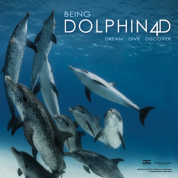being dolphin 4d key art image