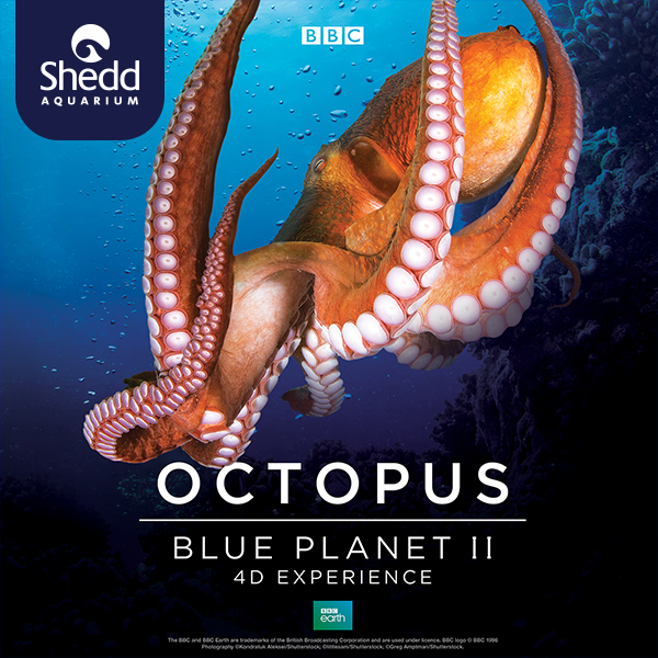 planet earth poster graphic giant red octopus