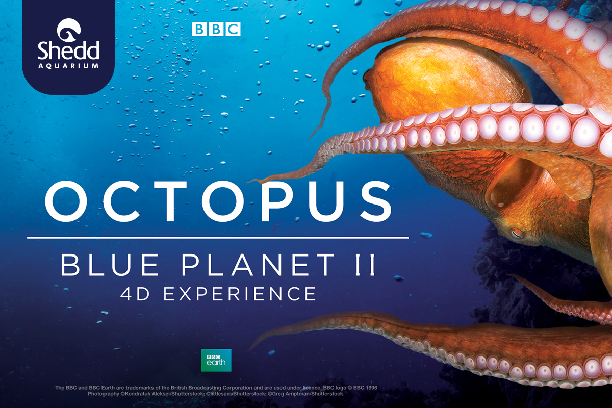 planet earth poster graphic giant red octopus