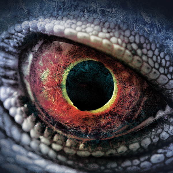 Dinosaur eye teaser image